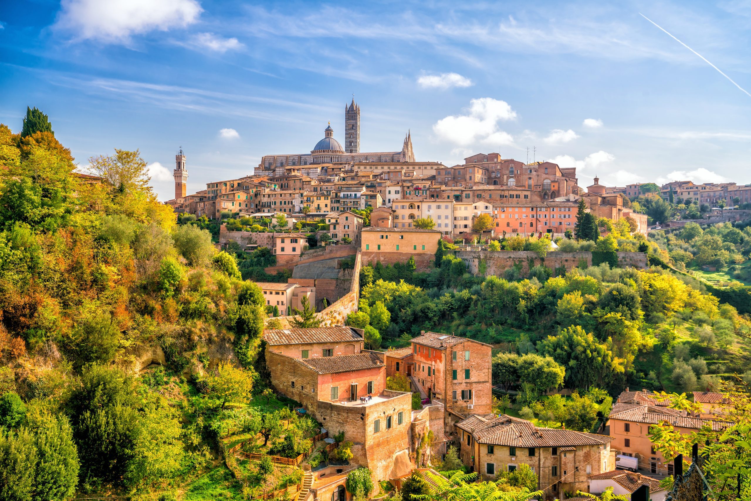 Blick auf die Altstadt von Siena in der Toskana mit historischer Architektur und Domturm