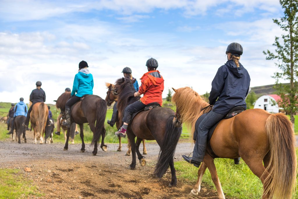 Gruppe von Leuten auf Islandpferden am Reiten.