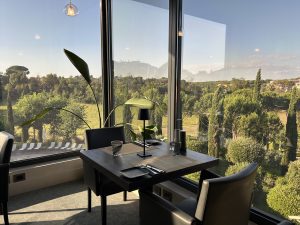 Restaurant mit Aussicht ins Grüne, Glasscheibe.