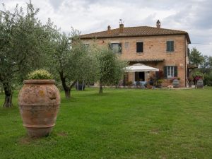 Agriturismo in der Toskana mit Olivenbäumen als Eventlocation